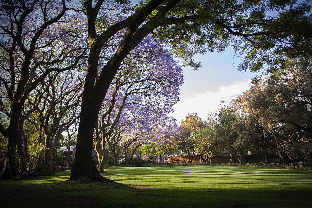 ホテル Pierneef'S Kraal Pretoria-Noord エクステリア 写真