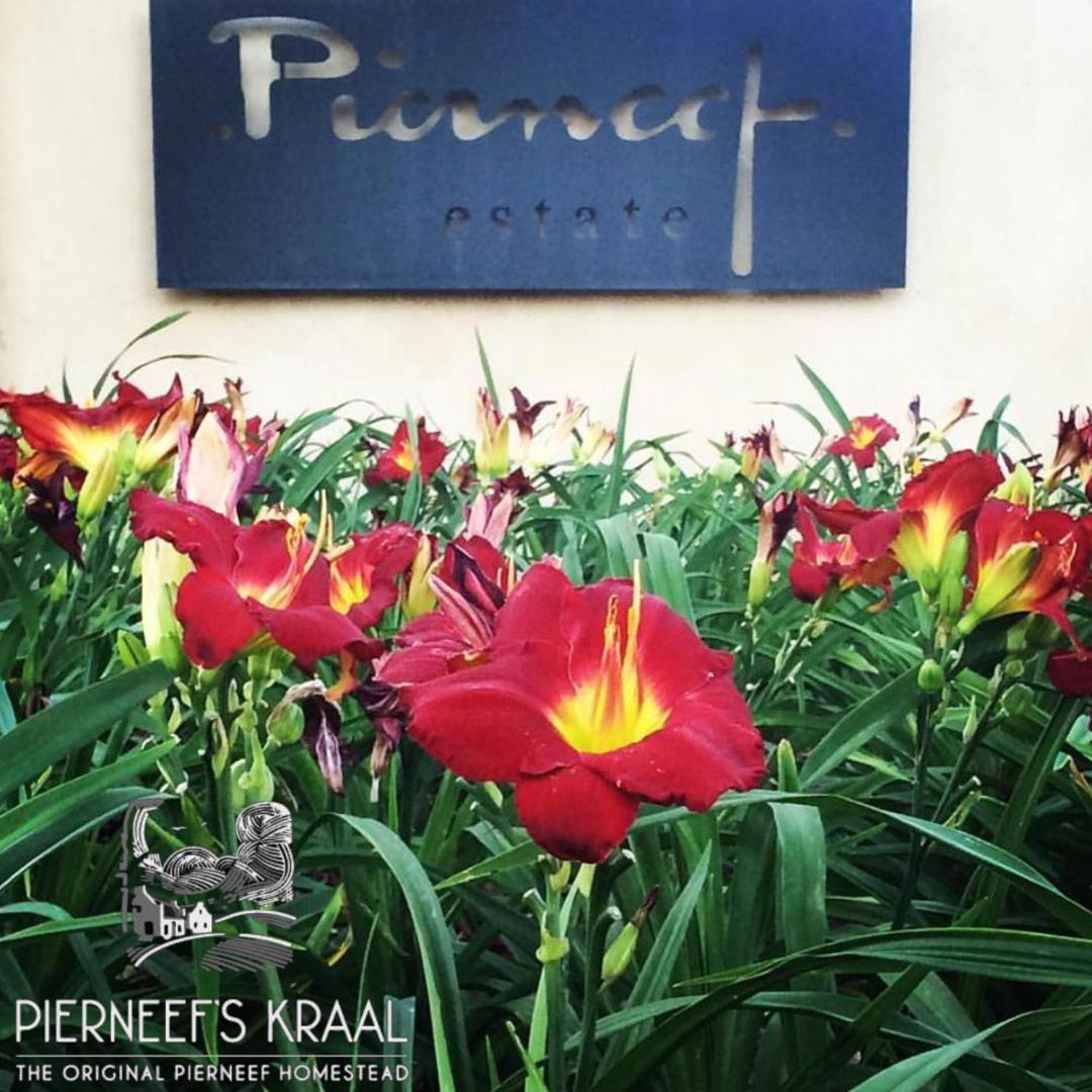 ホテル Pierneef'S Kraal Pretoria-Noord エクステリア 写真